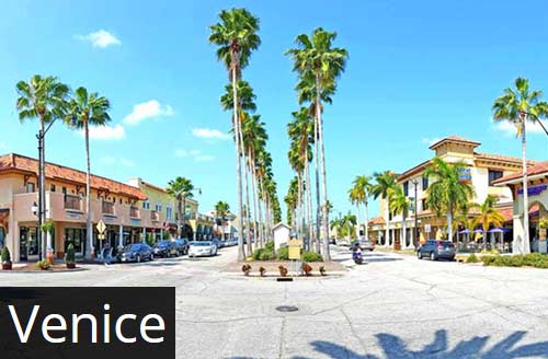 Downtown Venice, FL with Palm Trees
